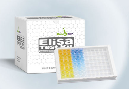 ELISA试剂盒